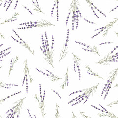 Beautiful vector seamless floral provence pattern with watercolor hand drawn gentle lavander flowers. Stock illustration. © zenina
