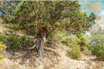 A large juniper tree next to a mountain trail. The sun's rays illuminate the path in the mountains leading to the sea. Summer landscape. Digital watercolor painting.