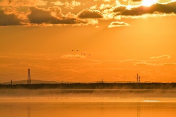 朝焼けをバックに飛ぶ白鳥の群れ＠ウトナイ湖、北海道