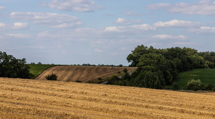 agricultural field with prickly straw from wheat, the grain from which was collected for food, wheat field on a Sunny summer day