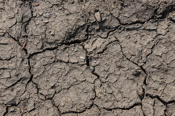 Cracked Earth and green grass. Dried Ground