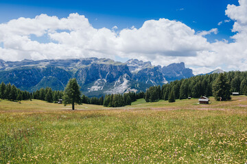 Wonderful summer view of the Dolomites, Italy