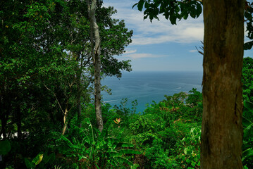 sea ​​view from the jungle of phuket island
