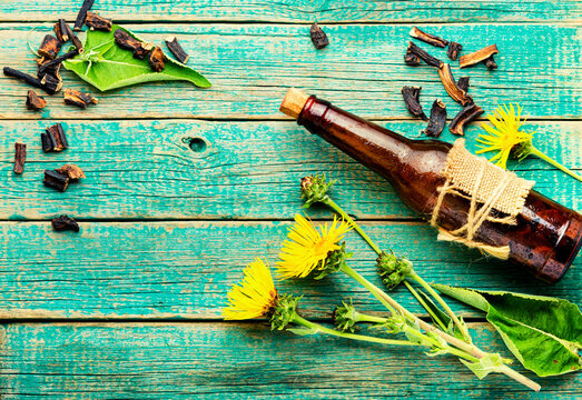 Elecampane root tincture