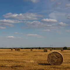 agricultural field with prickly straw from wheat, the grain from which was collected for food, wheat field on a Sunny summer day © Oleh Marchak