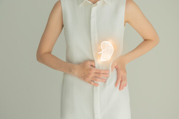 Woman in white clothes holding virtual spleen in hand. Handrawn human organ, detox and healthcare, healthcare hospital service concept stock photo - obrazy, fototapety, plakaty