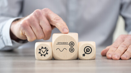 Concept of efficiency