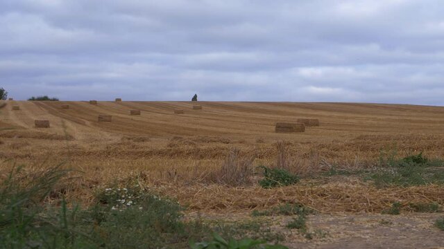 Farmland with bales of hay after harvest