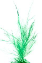 green feather on white background