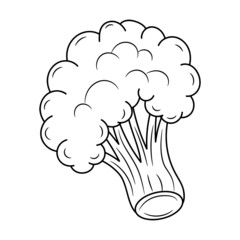 Simple broccoli, with hand drawn outline vector illustration