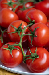red tomatoes on a green vine