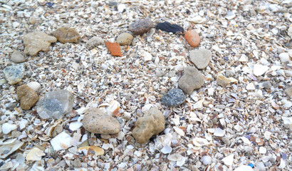 Macro photo seashell heart on a seashell beach