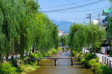 京都市東山区を流れる白川 - obrazy, fototapety, plakaty