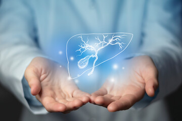 Gastroenterologist doctor, gall bladder specialist. Aesthetic handdrawn highlighted illustration of human gall bladder. Neutral grey background, studio photo and collage.