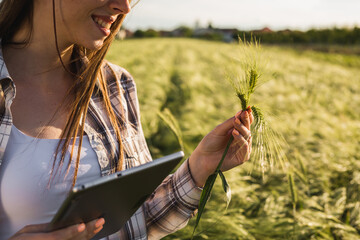 close up woman farmer inspecting barley on field