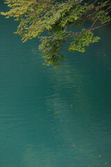 green paint on the wall