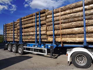 Trucks loaded with freshly slaughtered tree trunks