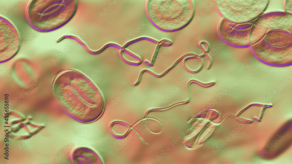 Wall mural Borrelia bacteria in blood, 3D illustration. The causative agent of Lyme disease and relapsing fever