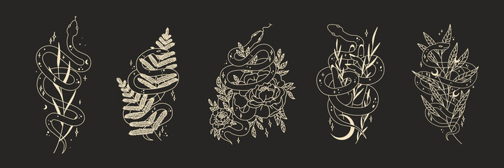 abstract illustration of mystical night. image of a snake, hands, phases of the moon and sun. sacred graphics geometry. mystical energy