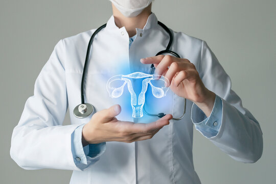 Gynecologist doctor, gynecology specialist. Aesthetic handdrawn highlighted illustration of human uterus. Neutral grey background, studio photo and collage.