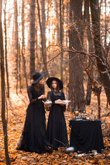 Obraz na płótnie Canvas Two witches in the autumn forest. Mother and daughter brew a potion.