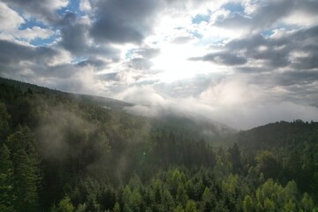 Foggy weather in mountains. Misty fog blowing over pine tree forest. Aerial view of spruce forest trees on the mountain hills at misty day. Morning fog at beautiful summer foresе. Sunrise