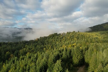 Flying over the clouds during morning sunrise in Carpathian Mountains. Above. Golden fluffy clouds moving softly on the sky and the sun shining through the clouds with beautiful rays and lens flare.