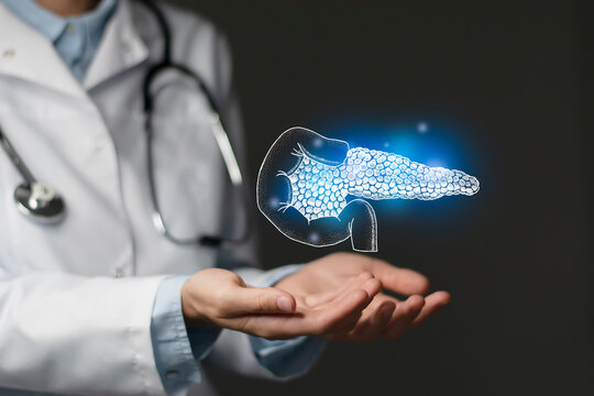 Gastroenterologist doctor, pancreas specialist. Aesthetic handdrawn highlighted illustration of human pancreas. Dark grey background, studio photo and collage.