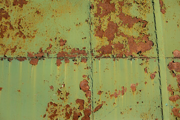 Rusty metal surface. The green wall.