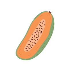 Papaya half with orange flesh and seeds. Cut piece of papaw fruit. Pawpaw cross section. Fresh tropical sweet fruit. Colored flat vector illustration isolated on white background