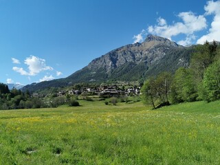 Fototapeta na wymiar Nice green meadow in the Alps in Italy in Valle d'Aosta