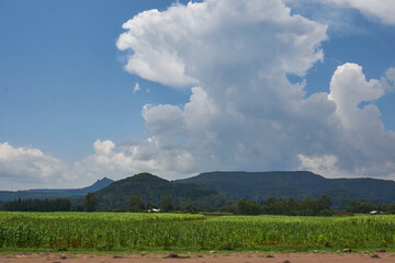 rural scene of ethiopia, africa