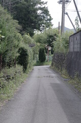 道