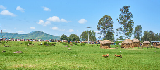 rural scene of ethiopia, africa