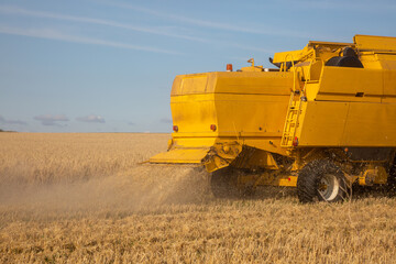 Mähdrescher bei der Arbeit auf einem Feld