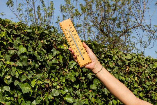 Mano de mujer sosteniendo un term&oacute;metro sobre un fondo verde de naturaleza al aire libre. Vista de frente y de cerca. Copy space