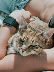 Cat owner sunbathing with her cat