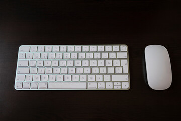 closeup shot of computer keyboard and mouse
