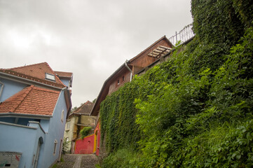 Wąska kamienna uliczka z kolorowymi budynkami i roślinami