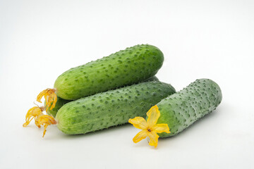 fresh cucumbers on a white background