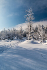 Winter mountains with snow, hiking trail, frozen trees and blue sky with clouds