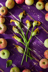 Autumn harvest: zucchini flowers  as autumn still life on old violet floorboards 