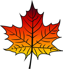 Maple Leaf vector colour autumn