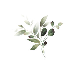 Bouquet of flowers, can be used as greeting card, invitation card for wedding, birthday and other holiday and  summer background. Watercolor illustration