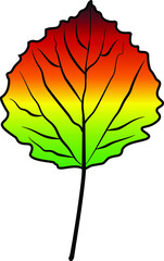 linden leaf vector colour autumn
