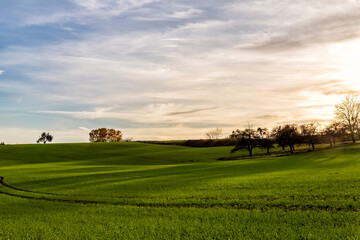 Fototapeta na wymiar sunset over fields in beautiful landscape in the rural countryside of Baden-Württemberg Germany