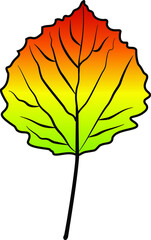 Fototapeta premium linden leaf vector colour autumn