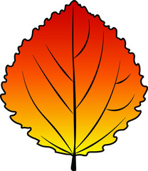 aspen leaf vector colour autumn