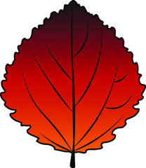 aspen leaf vector colour autumn