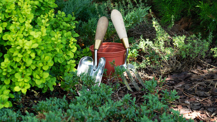 Gardening equipment. Flower pot, trowel or shovel, garden fork and plants in the garden. Farm background.